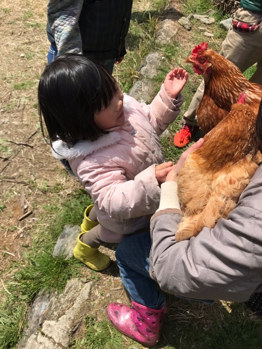 f:id:kamenarien:20190328200637j:plain