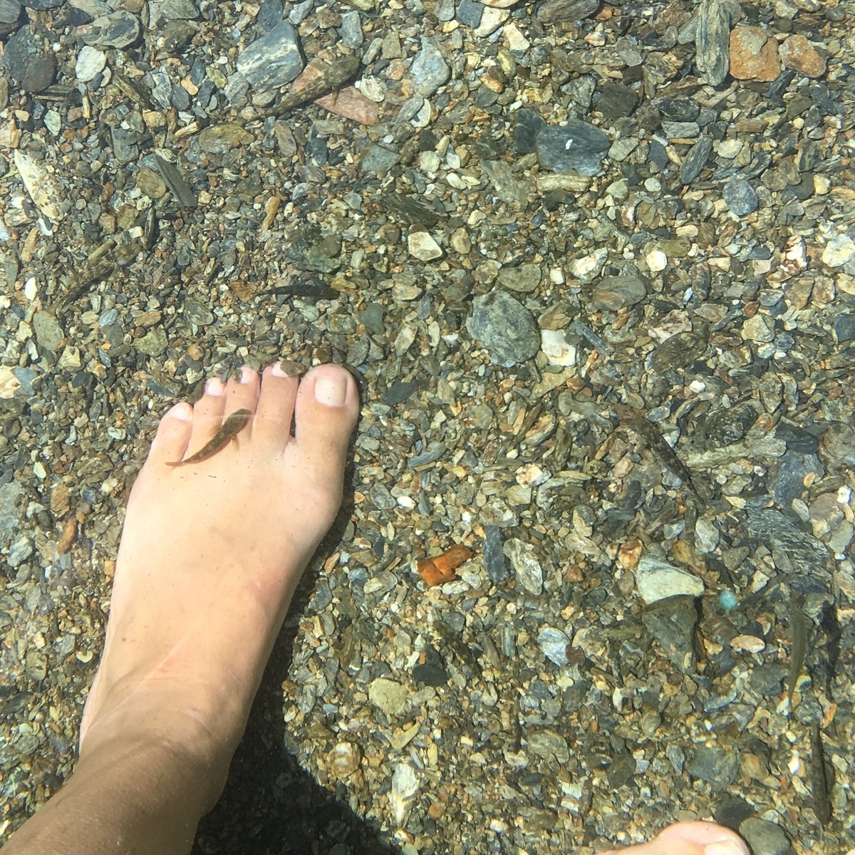 f:id:kamenarien:20190814170348j:plain