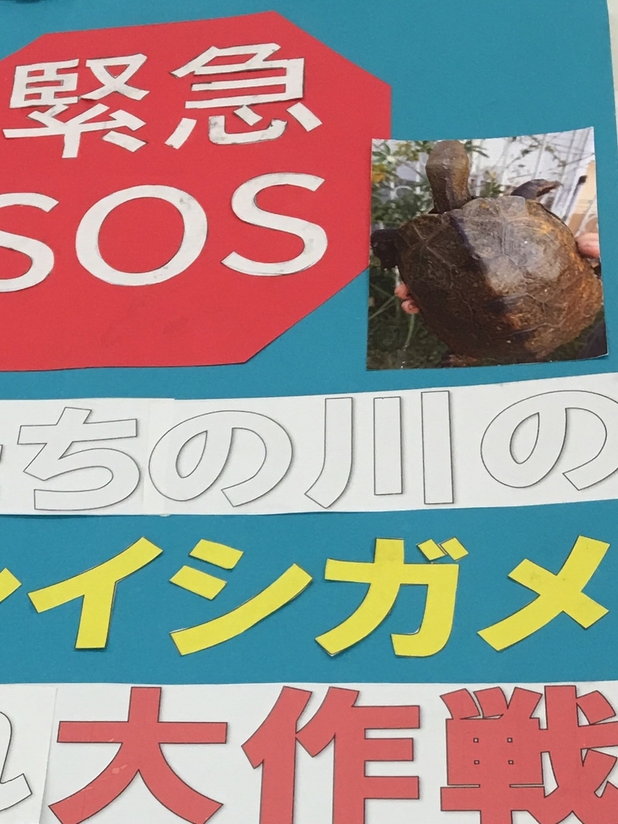 f:id:kamenarien:20190909163943j:plain