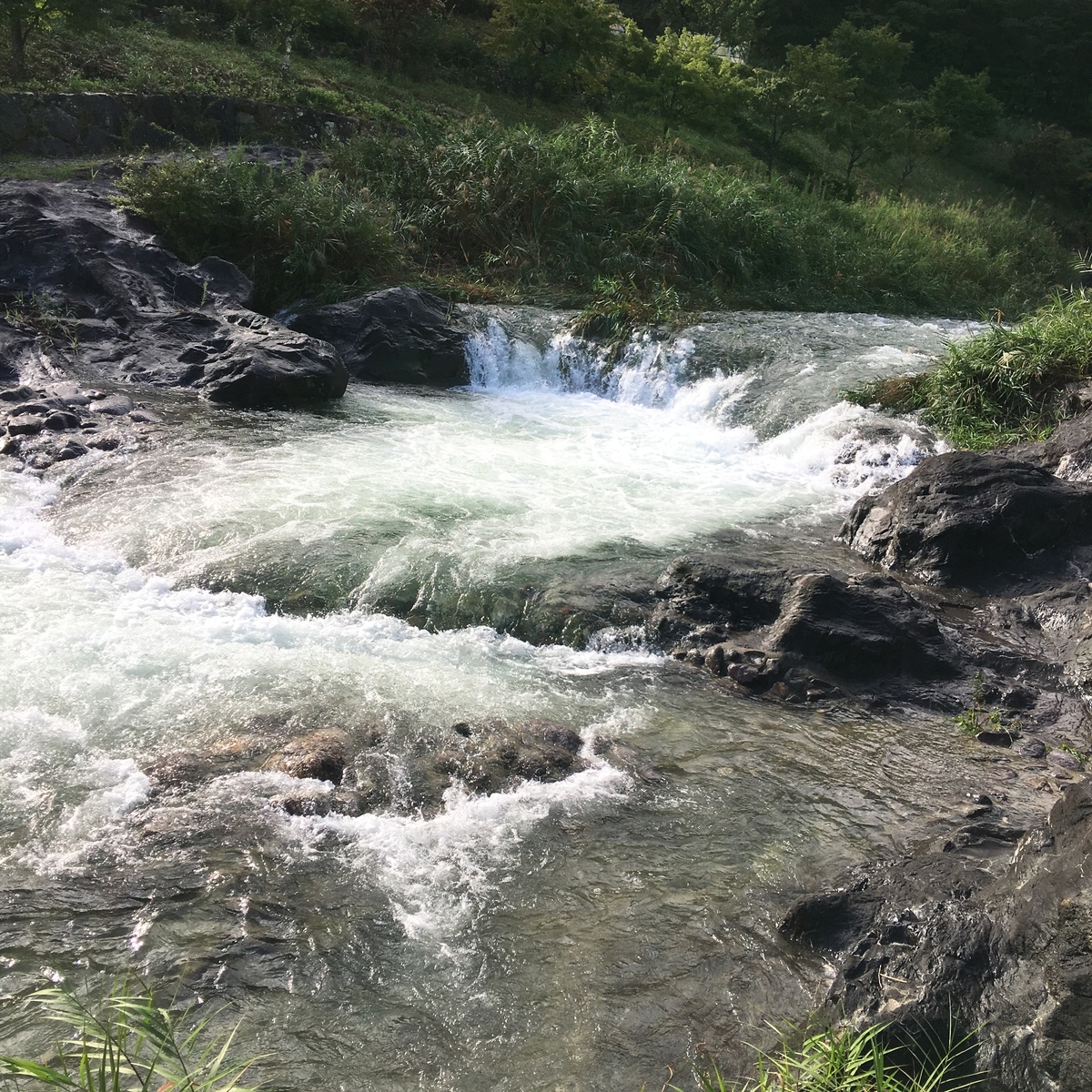 f:id:kamenarien:20190924162012j:plain
