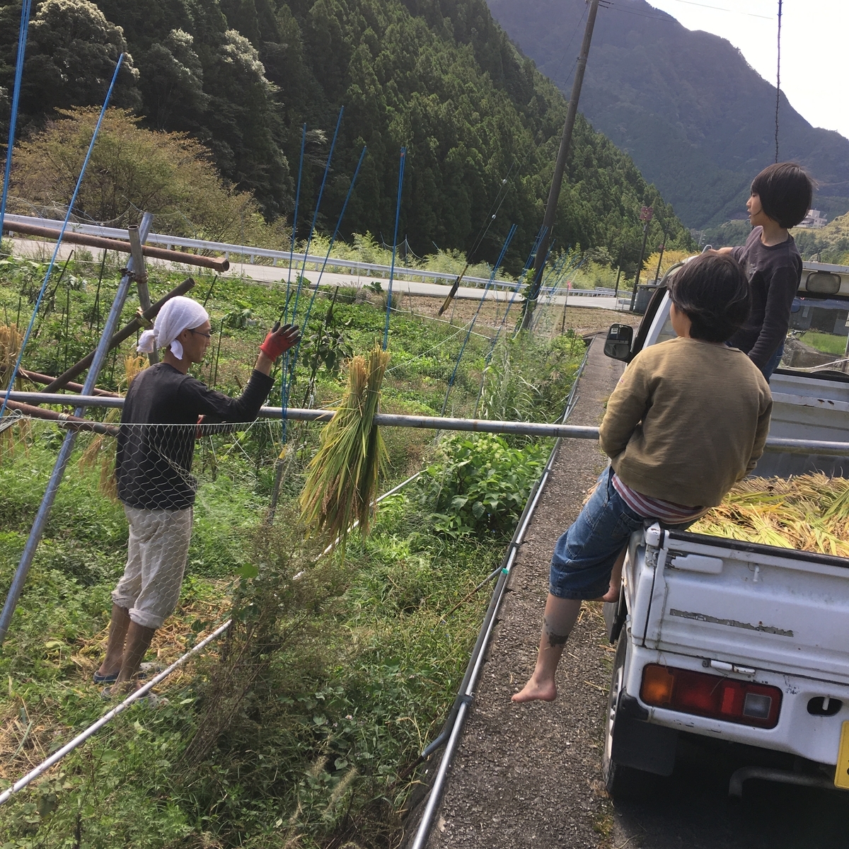 f:id:kamenarien:20191018224844j:plain f:id:kamenarien:20191018224844j:plain