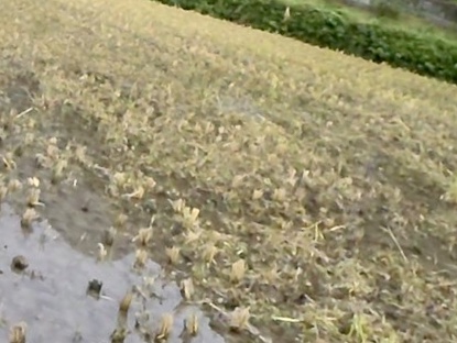 f:id:kamenarien:20191018225741j:plain f:id:kamenarien:20191018225741j:plain