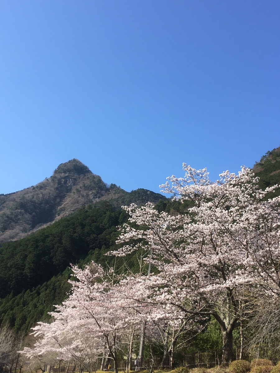 f:id:kamenarien:20210323232441j:plain