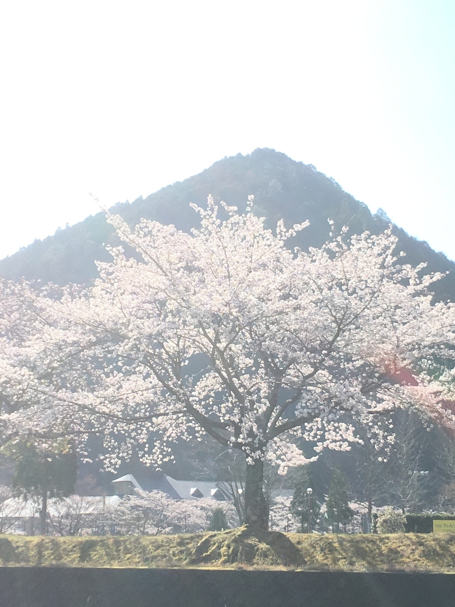 f:id:kamenarien:20210323232940j:plain