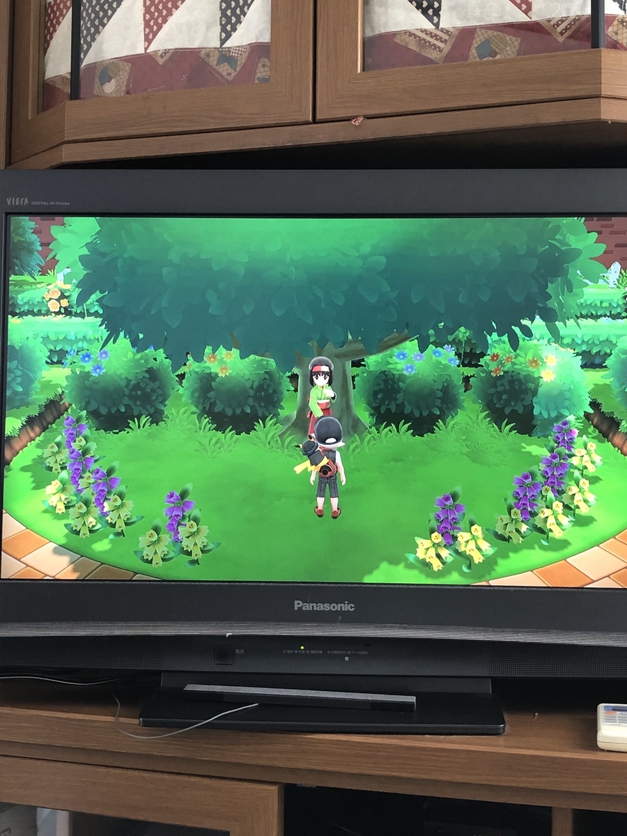 ジムリーダー エリカ