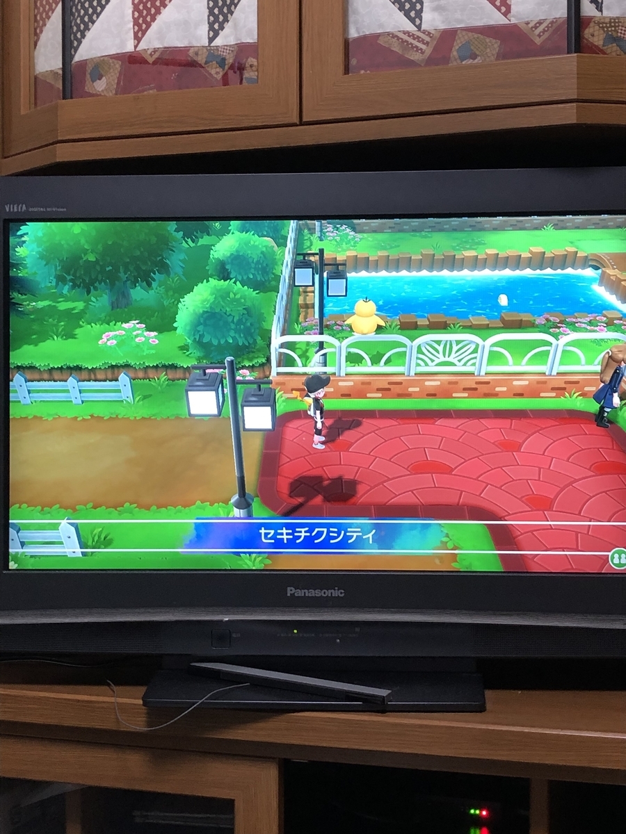 疲れ果てながら到着したセキチクシティ