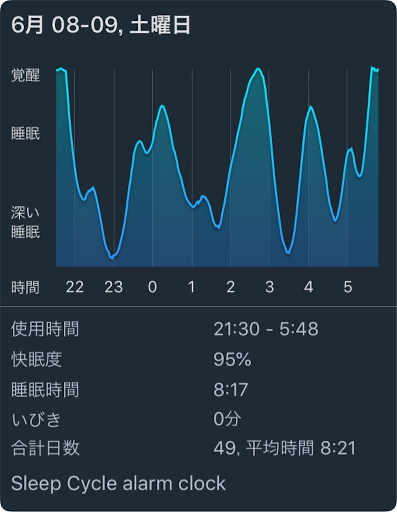 f:id:kameneko9:20190610074520p:image