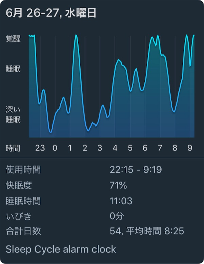 f:id:kameneko9:20190627175042p:image