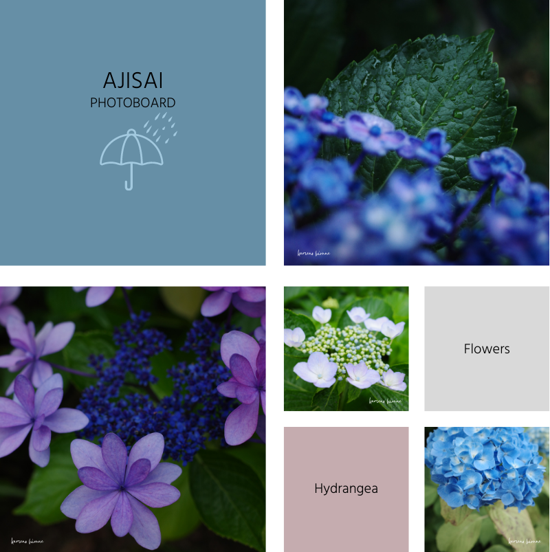 紫陽花のコラージュ写真ボード
