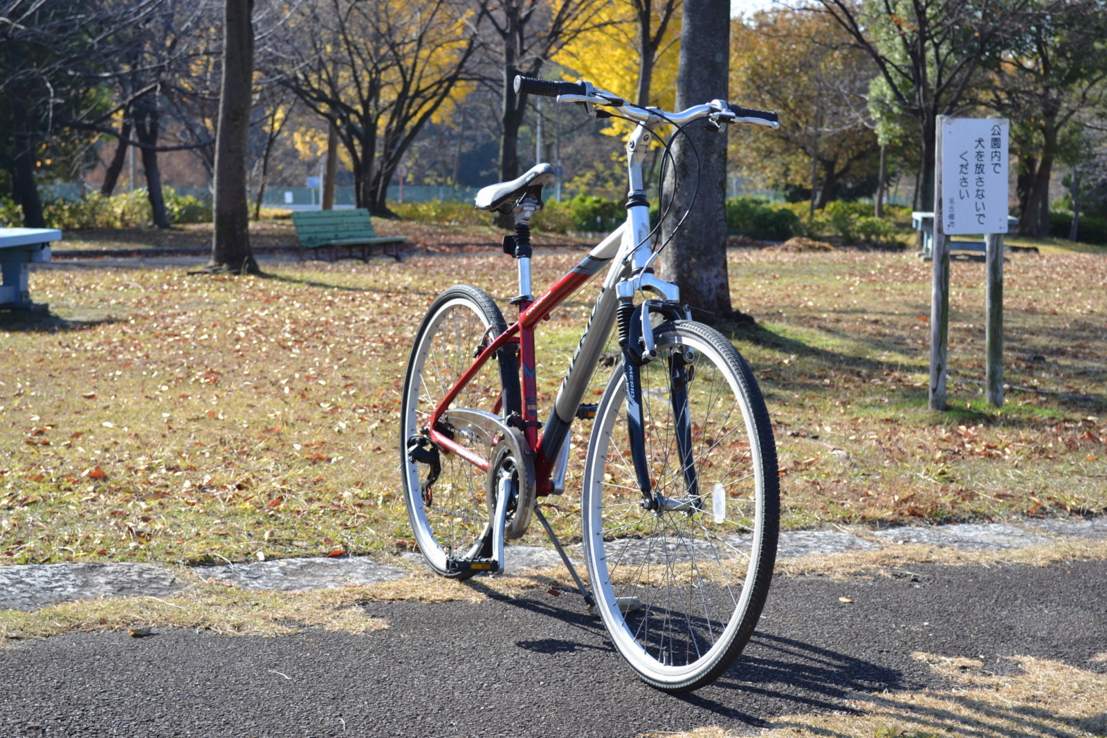 f:id:kamenoi:20121203102119j:image:w640