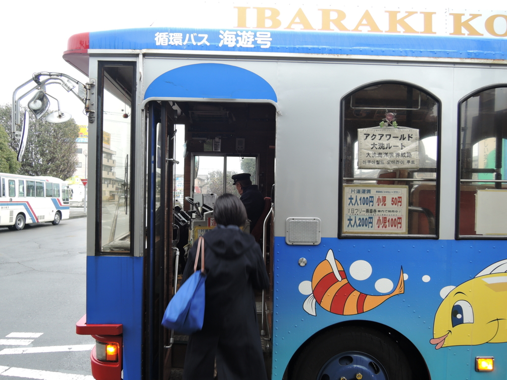 f:id:kamenoiwa:20170122212038j:plain f:id:kamenoiwa:20170122212038j:plain