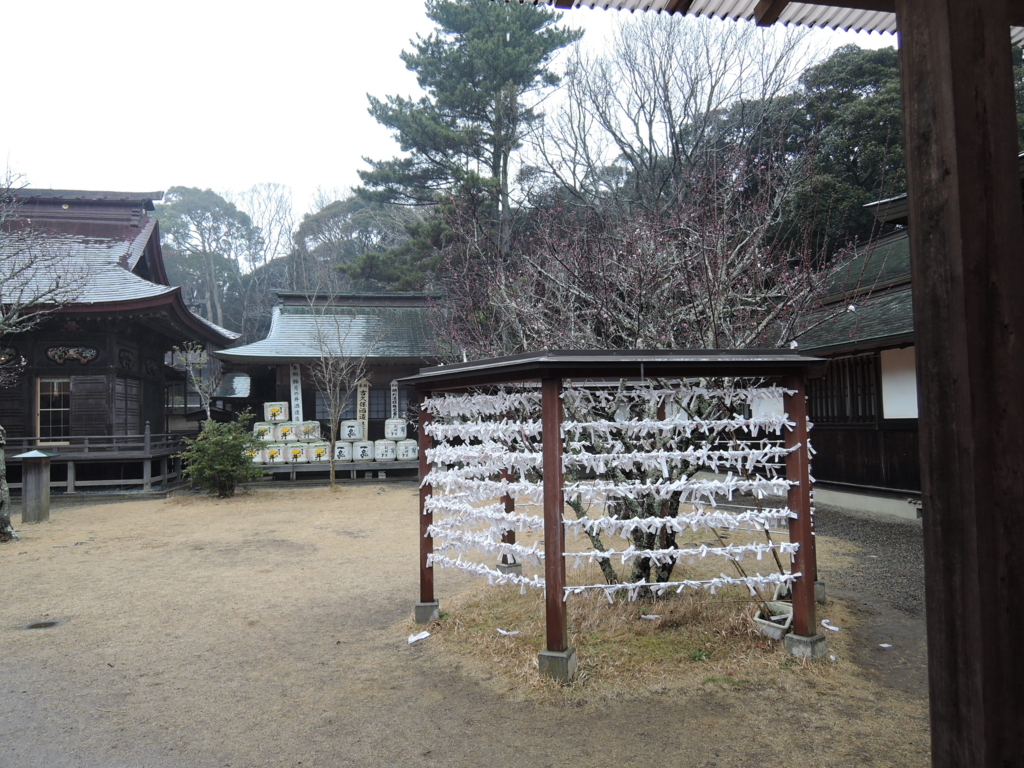 f:id:kamenoiwa:20170122214525j:plain f:id:kamenoiwa:20170122214525j:plain