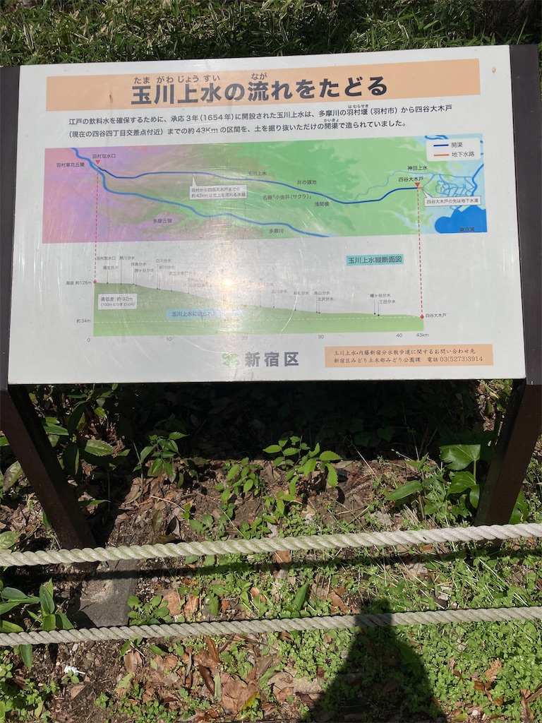 f:id:kamenosanpo:20260606113123j:image