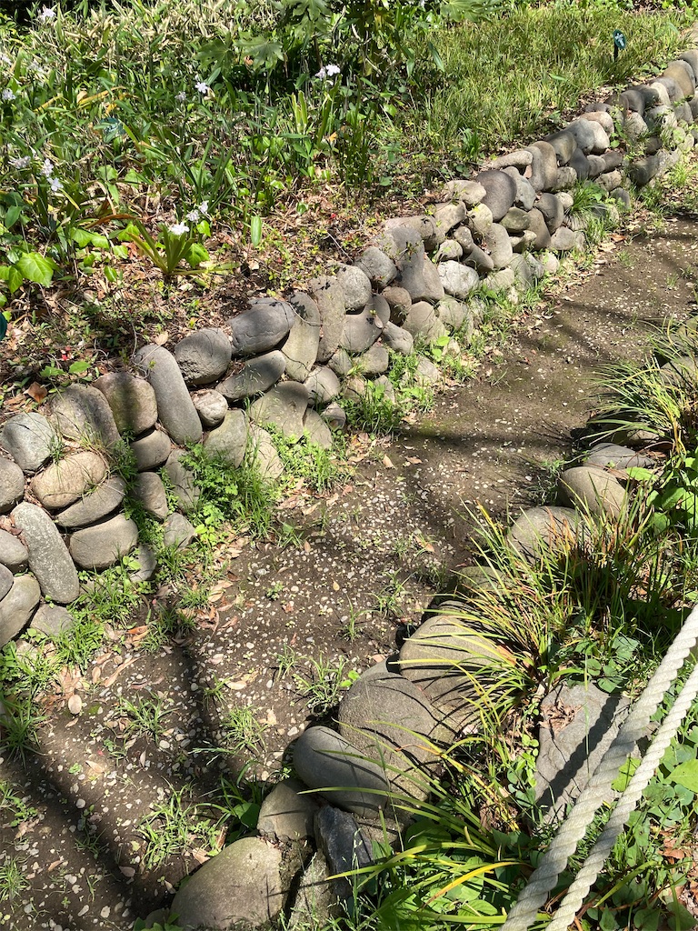 f:id:kamenosanpo:20260606113126j:image