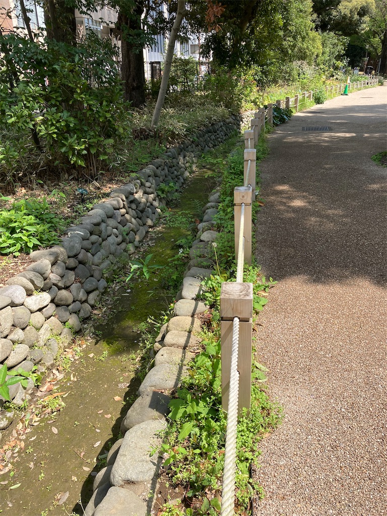 f:id:kamenosanpo:20260606113129j:image