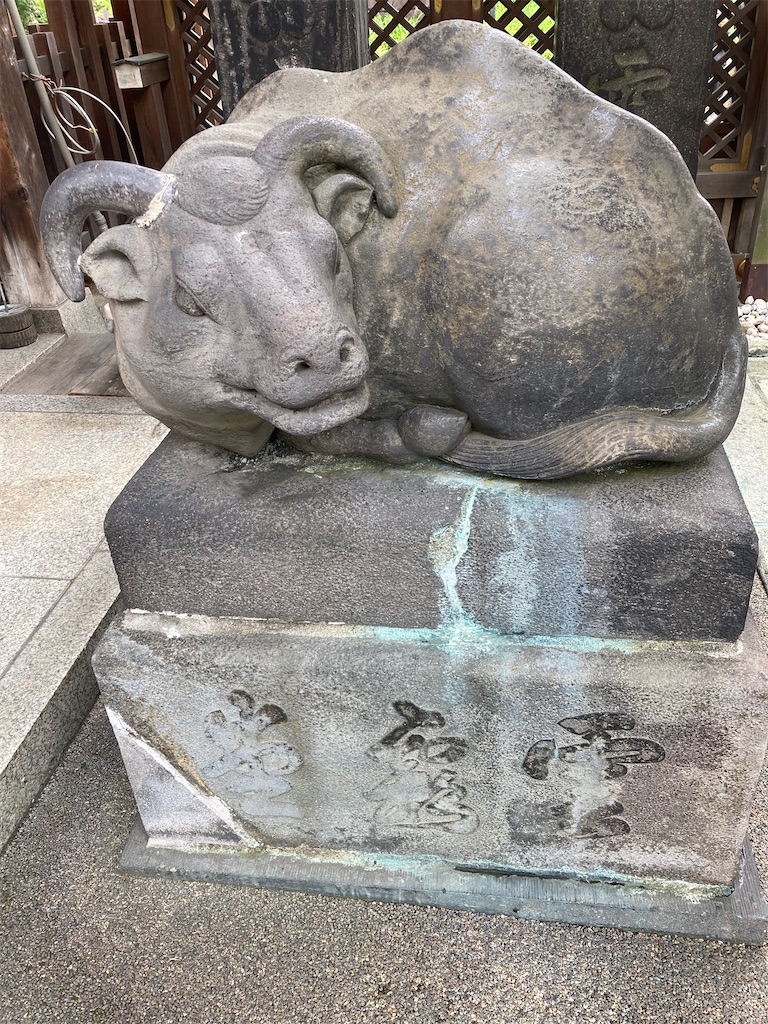 f:id:kamenosanpo:20260709114247j:image