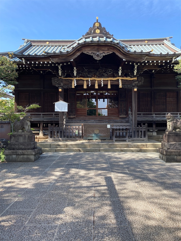 f:id:kamenosanpo:20260724152311j:image f:id:kamenosanpo:20260724152311j:image