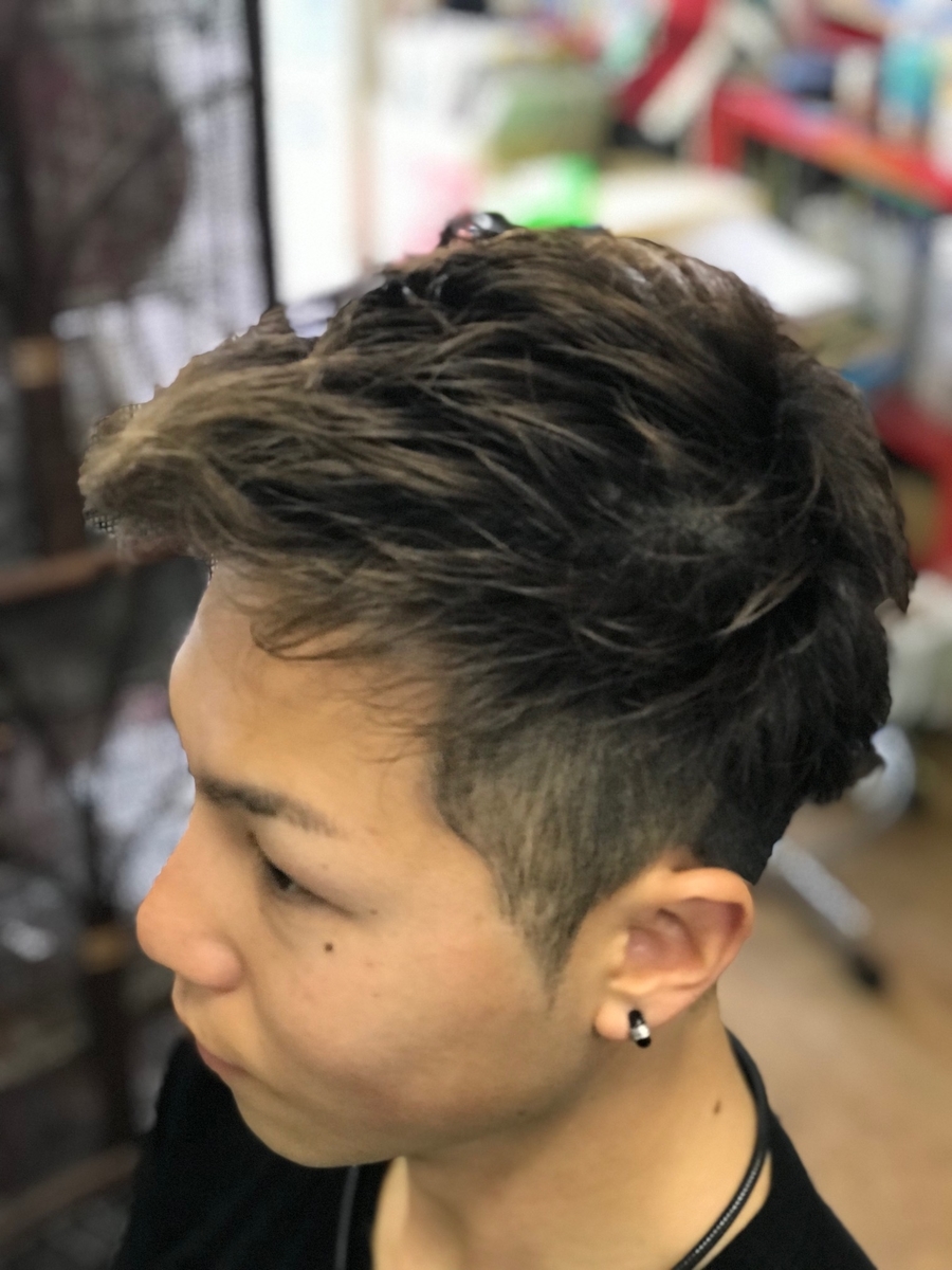 f:id:kamenozou:20190419162244j:plain f:id:kamenozou:20190419162244j:plain