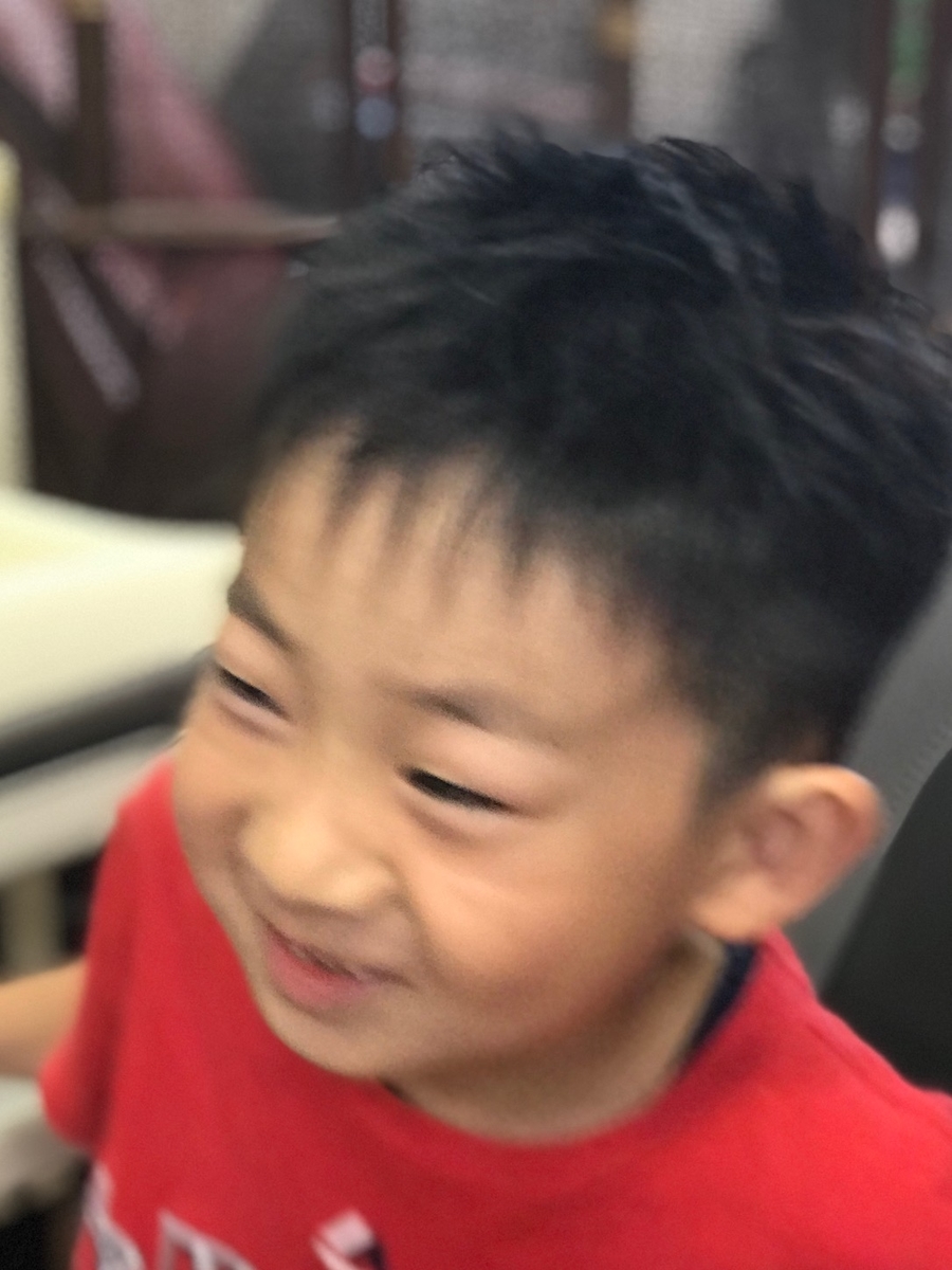f:id:kamenozou:20190607210650j:plain