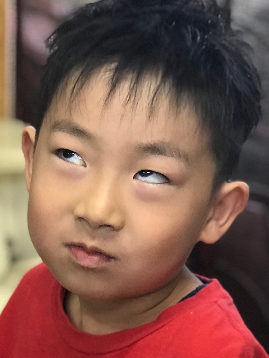 f:id:kamenozou:20190607210714j:plain
