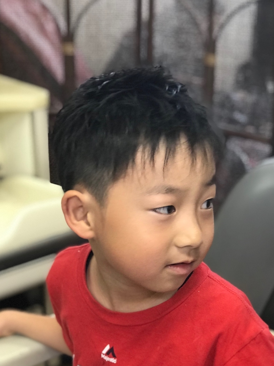 f:id:kamenozou:20190607210849j:plain