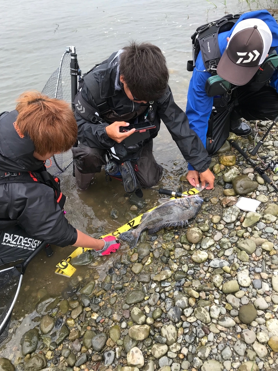 f:id:kamenozou:20190709220440j:plain f:id:kamenozou:20190709220440j:plain