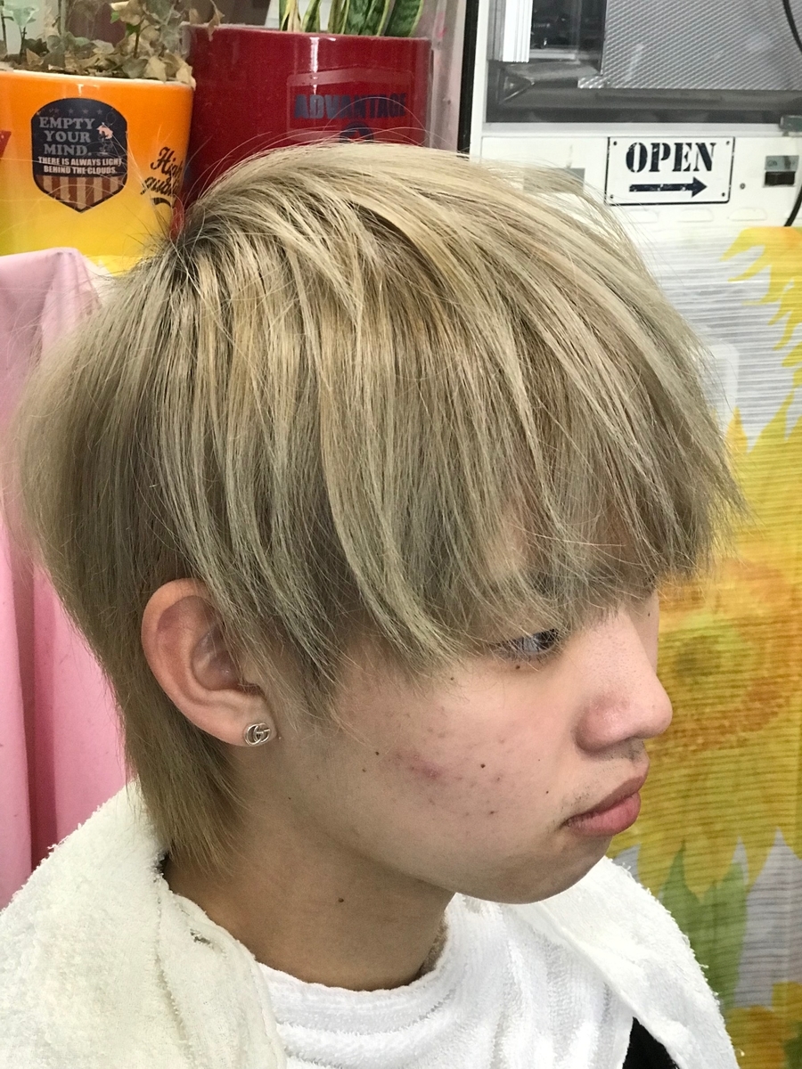 f:id:kamenozou:20200111134850j:plain