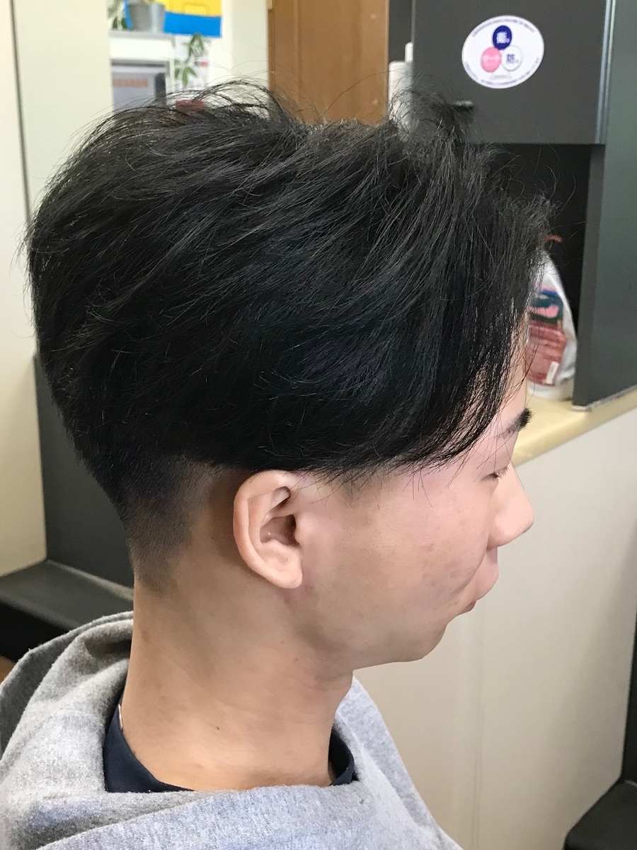 f:id:kamenozou:20201218141819j:plain