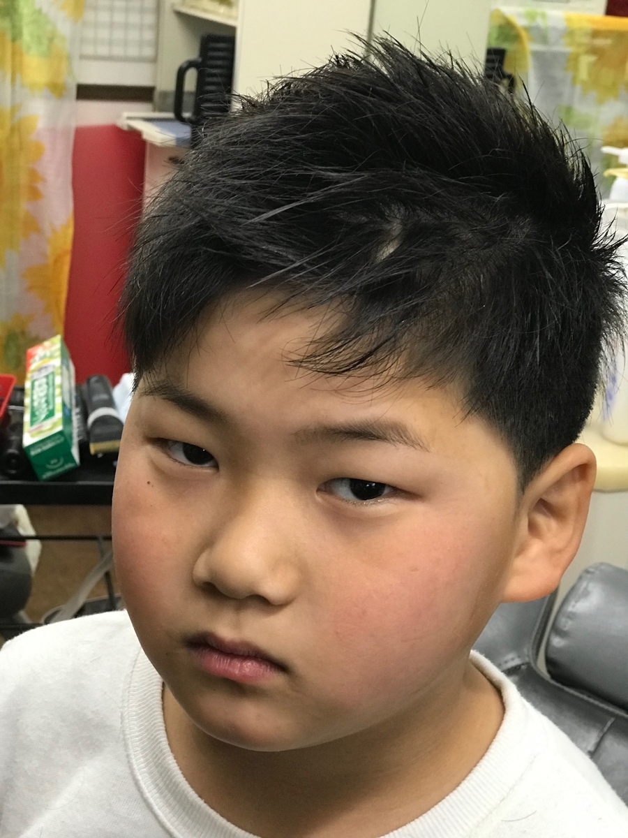 f:id:kamenozou:20210129122559j:plain