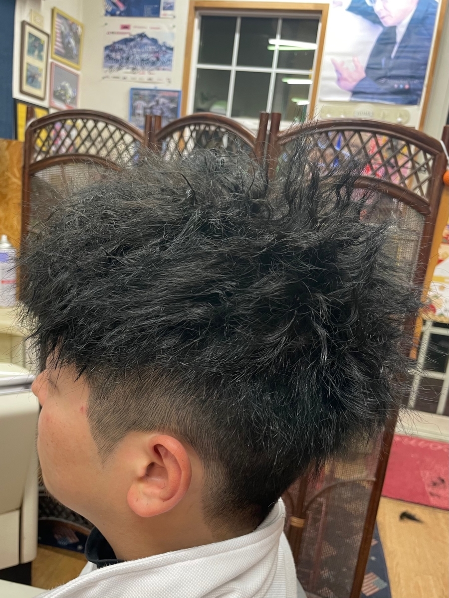 f:id:kamenozou:20210204172954j:plain