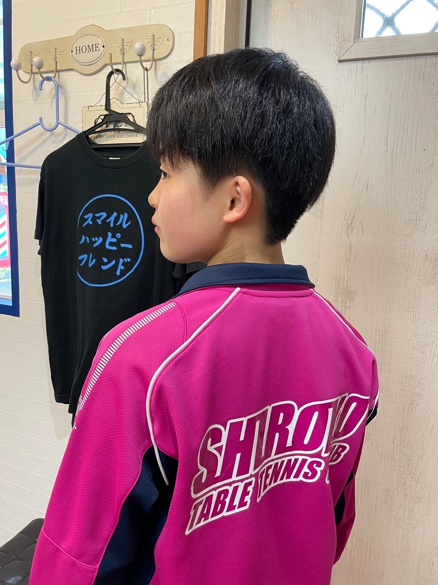 f:id:kamenozou:20210603113117j:plain