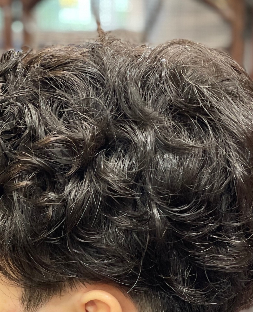 f:id:kamenozou:20210715110643j:plain