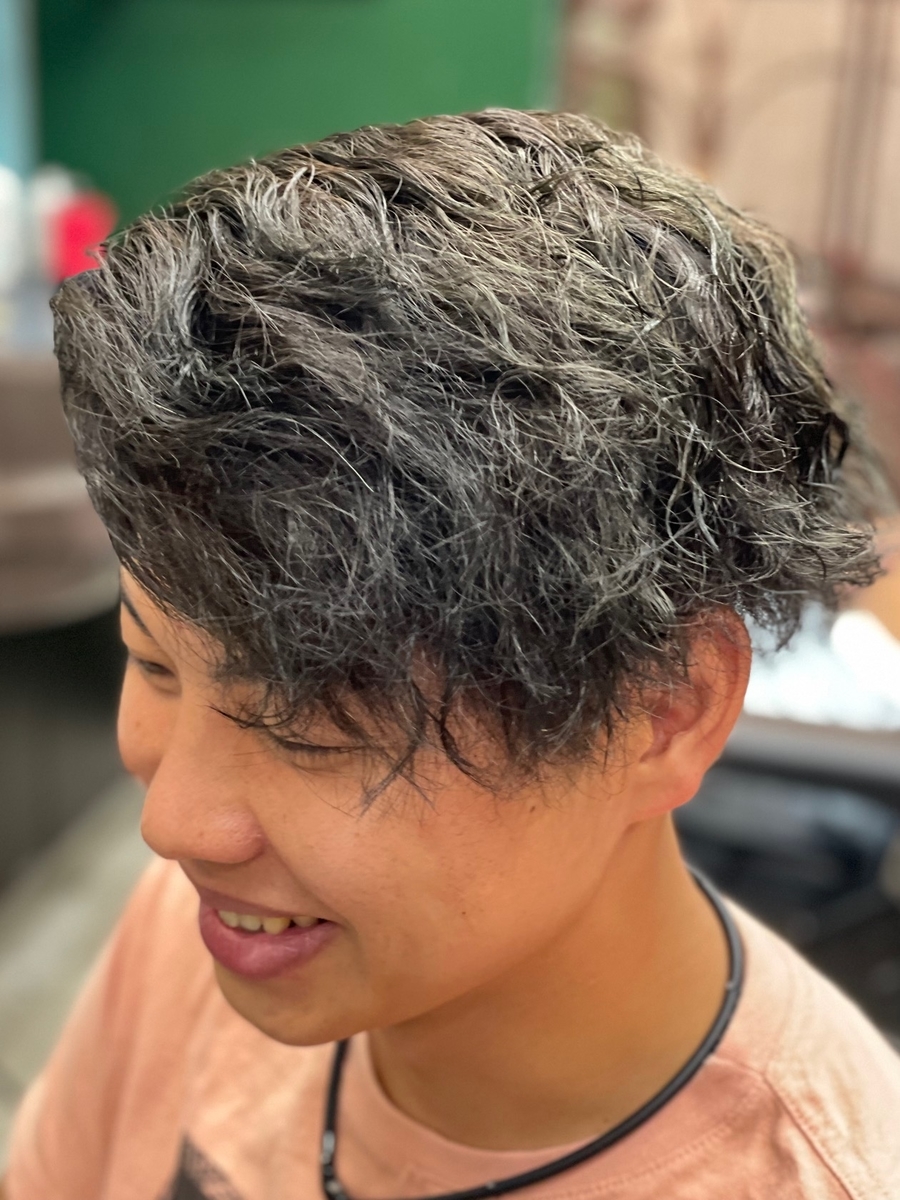 f:id:kamenozou:20210915180705j:plain