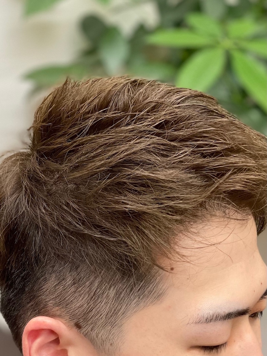 f:id:kamenozou:20210924210203j:plain