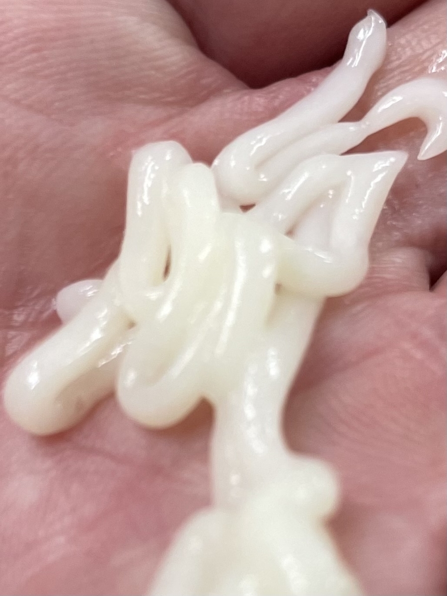 f:id:kamenozou:20211209131423j:plain