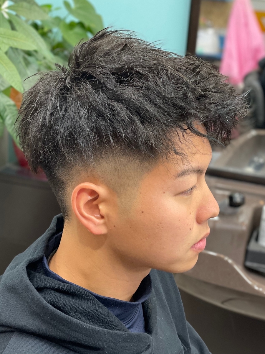 f:id:kamenozou:20211227135947j:plain