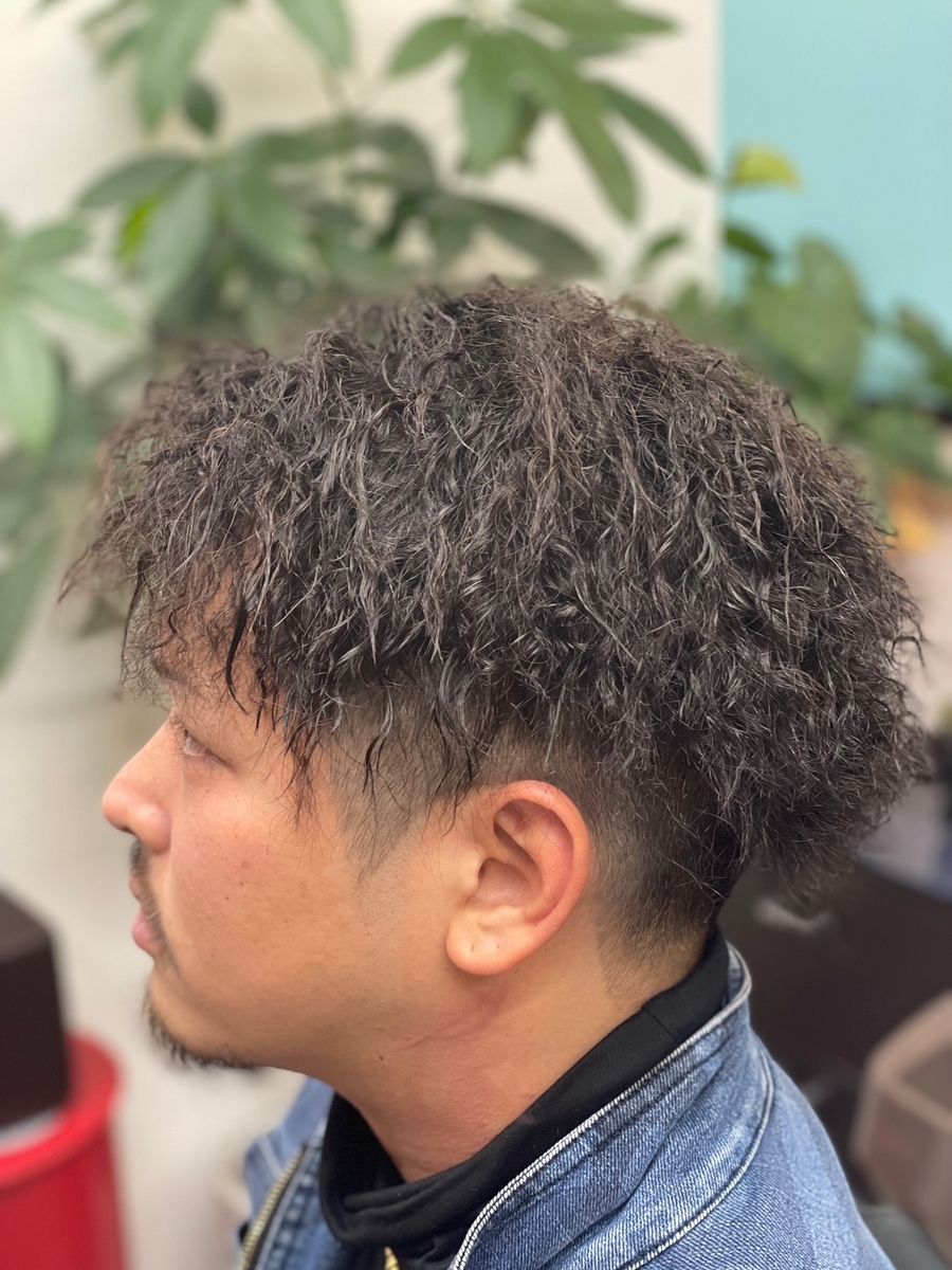 f:id:kamenozou:20220124134644j:plain