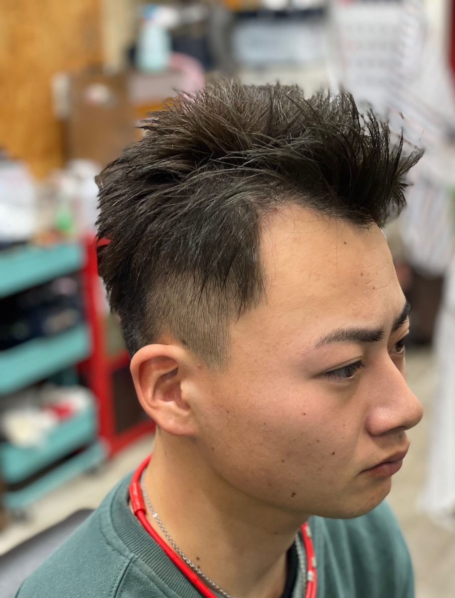 f:id:kamenozou:20220127121541j:plain