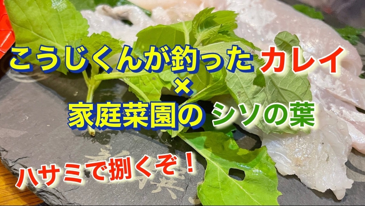捌き方とは 人気 最新記事を集めました はてな 捌き方とは 人気 最新記事を集めました はてな