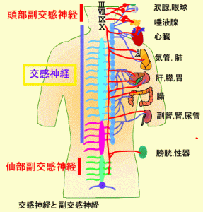 f:id:kamenutsu:20180301195706g:plain