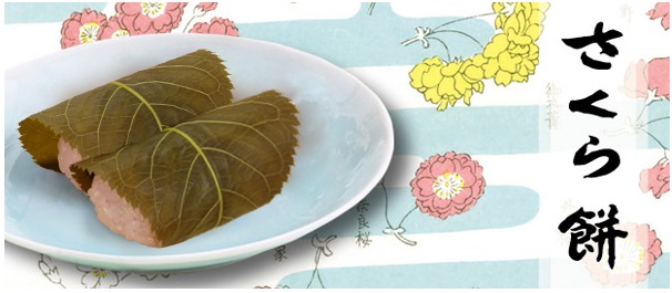 f:id:kamenutsu:20180307181607j:plain