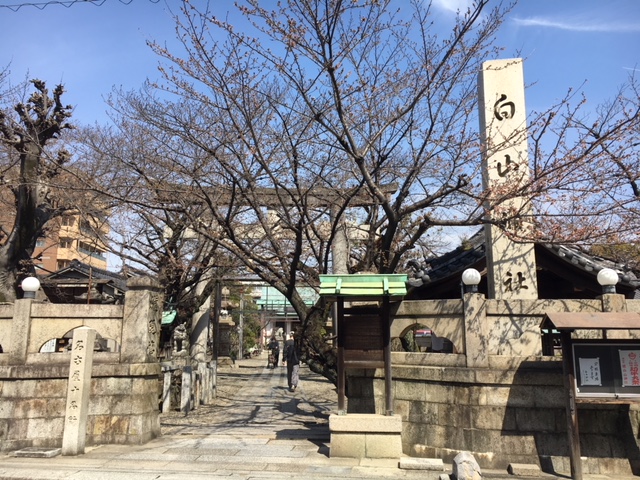 f:id:kamenutsu:20180320212800j:plain