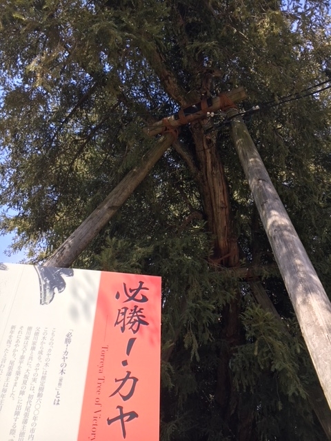 f:id:kamenutsu:20180321194953j:plain