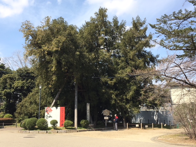 f:id:kamenutsu:20180321195012j:plain