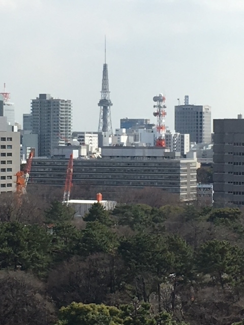 f:id:kamenutsu:20180321205856j:plain