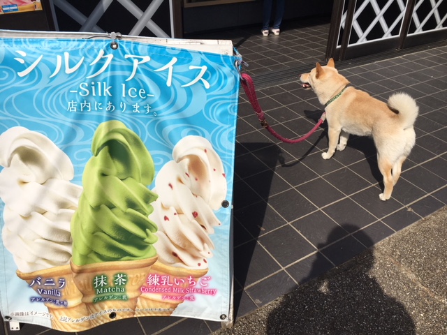 f:id:kamenutsu:20180321211845j:plain