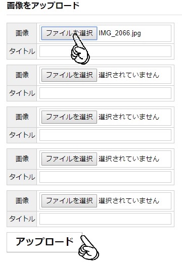 f:id:kamenutsu:20181001174523j:plain f:id:kamenutsu:20181001174523j:plain