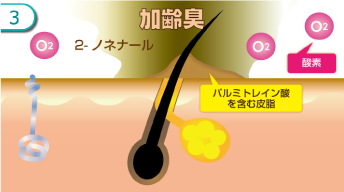 f:id:kamenutsu:20181003185631p:plain