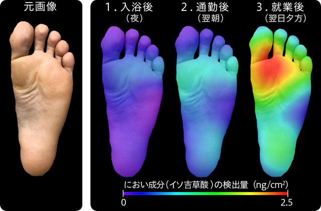 f:id:kamenutsu:20181003195038j:plain