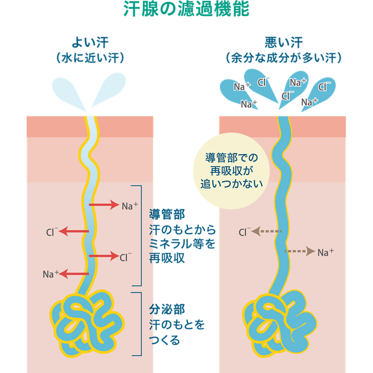 f:id:kamenutsu:20181003202149p:plain